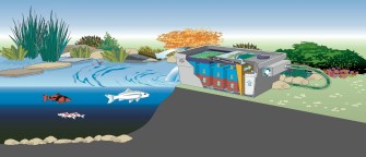 pond-design-image