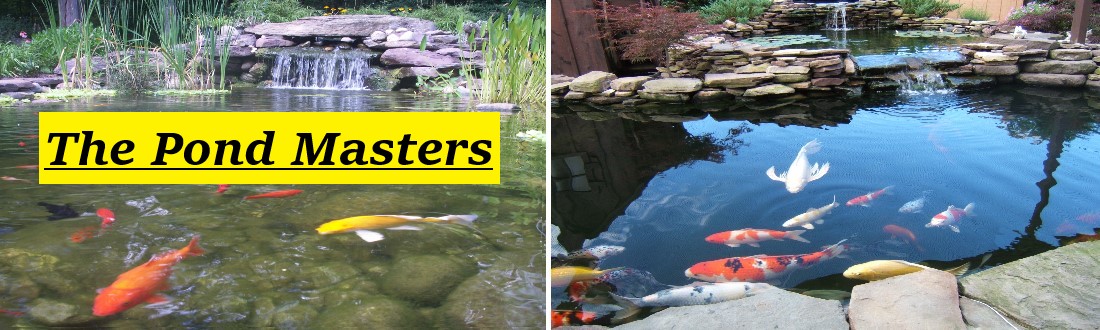 pond-services-uk-header